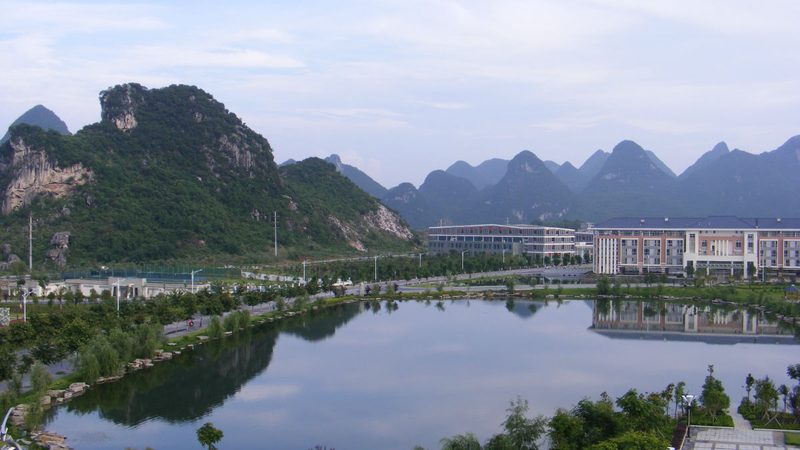 LED电子元件批发价格，揭秘其背后的市场逻辑